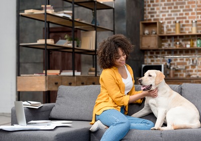 The Pet-Friendly Amenities You Should Have in Your Asheville Home