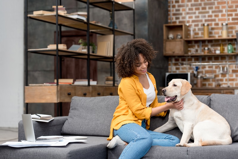 The Pet-Friendly Amenities You Should Have in Your Asheville Home