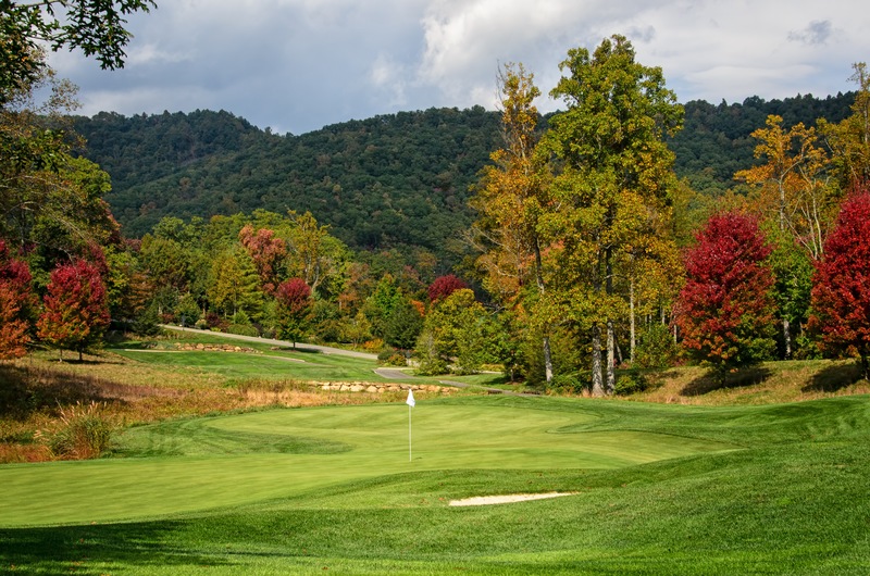 Discover Asheville North Carolina Homes for Sale Near Golf Courses