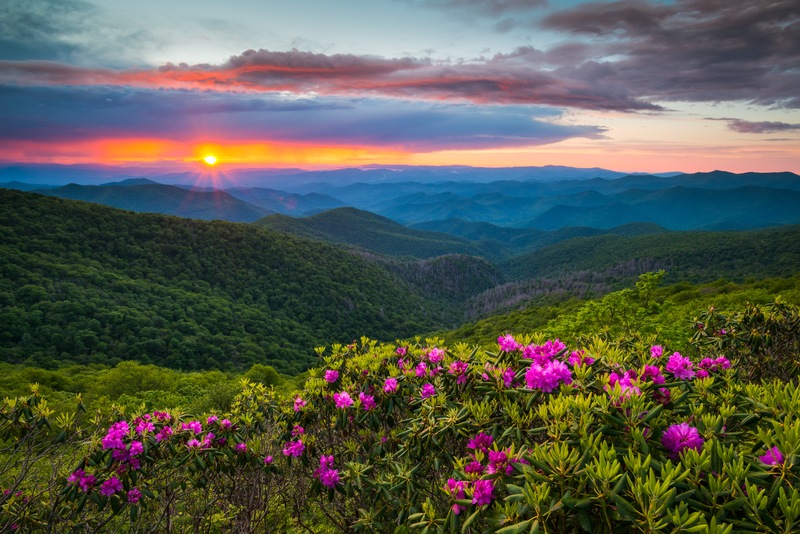 Discover A Summer Oasis With Homes For Sale In Asheville NC