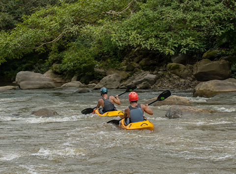 Summer on the Water: Where to Kayak, Tube & Paddle Near Asheville
