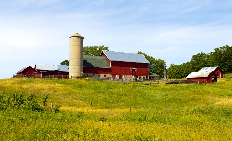 Farms